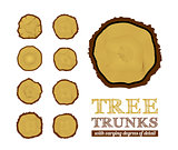Cross section of the trunk, vector illustration