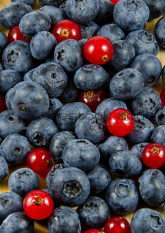Red currants and blueberries