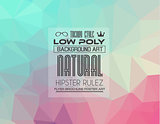 Low Poly trangular trendy Art background for your flyer