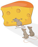 Rat with cheese