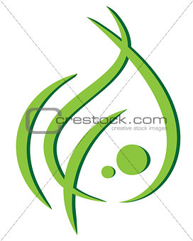 Vector icon. leaf on a white background