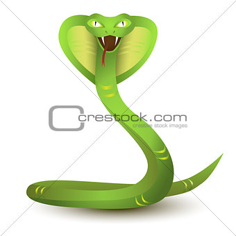 Angry cobra cartoon. Green snake