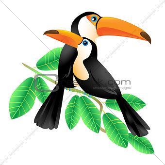 Two Toucans Sitting on a Branch
