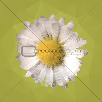polygonal mosaic of daisy vector illustration