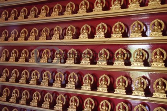 Rows of buddhas