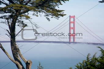 The Golden Gate Bridge in the Morning Fog