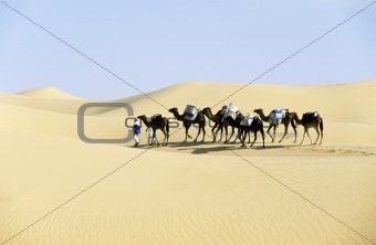 CAMEL caravan