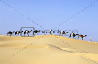 CAMEL caravan