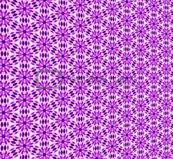 Purple flower wallpaper