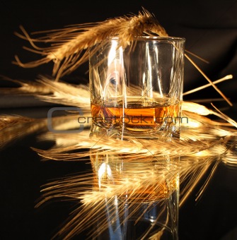 Whisky And Wheat On Dark