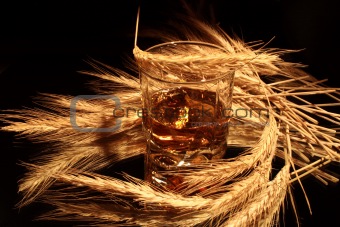 Whisky And Wheat On Dark