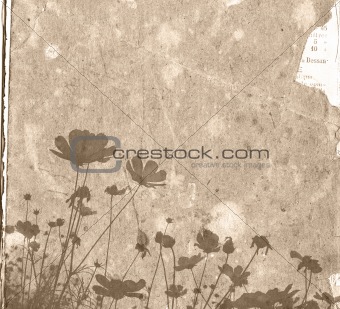 old and worn paper flower background frame