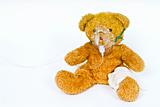 wounded teddy