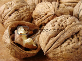 walnuts still life