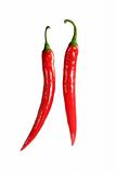 Pair of chilies