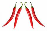Two pairs of chilies