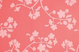 Pink Red White Blossom Background