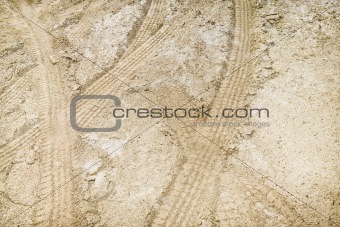 Tire tracks in dirt.