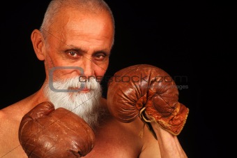 Old Boxer 2