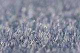 Morning Frost Crystals