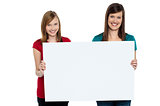 Gorgeous women presenting blank ad board
