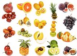Tropical Fruits Collection
