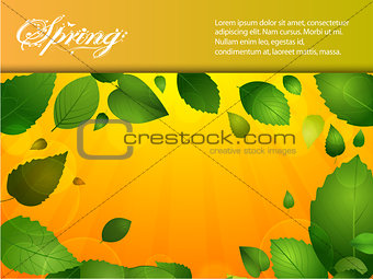 Spring background with leafs and sunshine