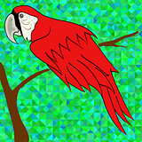 Big Red Parrot