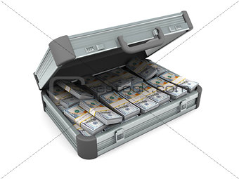 suitcase full of money