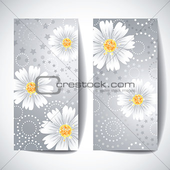 Two banners with daisy flowers on white background.