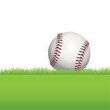 Baseball Sitting on Green Grass Illustration