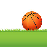 Basketball Sitting on Green Grass Illustration