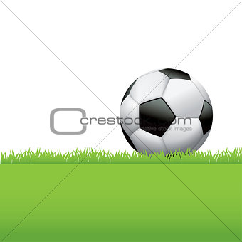 Soccer Ball Sitting in Grass Background Illustration