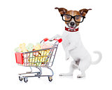 dog with shopping cart