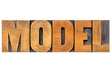 model word typography
