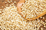scoop of sorghum grain