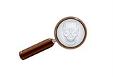 skull and magnifying glass