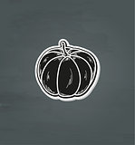 pumpkin illustration, vector