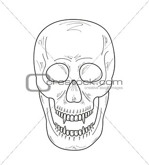 skull with vampire teeth, sketch