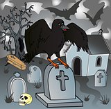 Crow in the cemetery