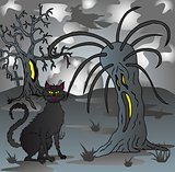 Spooky scenery with cat