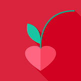 Cherry heart shaped