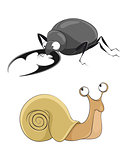 Snail and stag-beetle