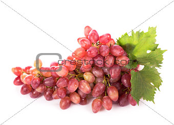 grapes bunch