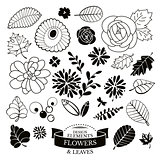 Set of flowers and leaves vector illustration