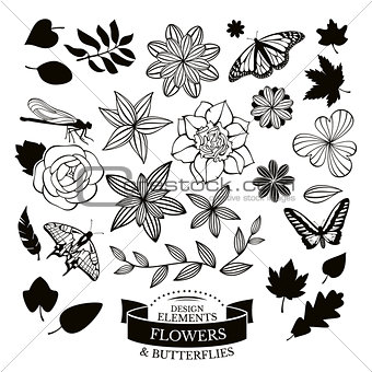 Set of flowers, leaves and insects vector illustration