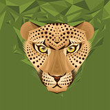 Portrait of a leopard vector illustration