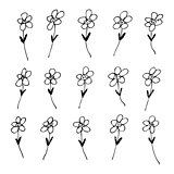 Hand drawn pen and ink style illustration of flowers