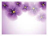 Pansy flowers on the greeting card. 