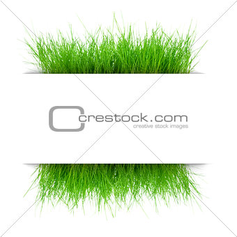 juicy grass under a sheet of white paper